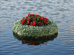 2016 Epcot Flower and Garden Festival