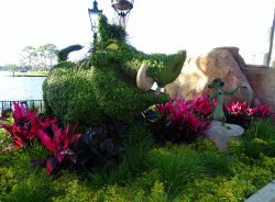2016 Epcot Flower and Garden Festival