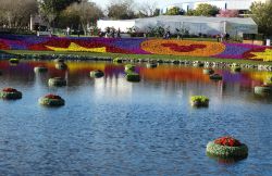 2016 Epcot Flower and Garden Festival