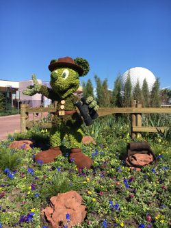 2016 Flower and Garden Festival
