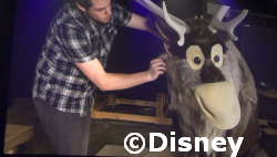 Frozen Ever After Imagineering