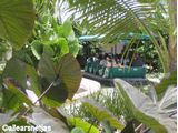 Greenhouse
