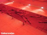 Auquaculture Room