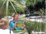 Tour Guide Linda