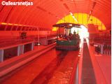 Auquaculture Room