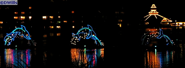 Electric Water Pageant