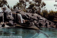 1979 photo 20,000 Leagues Under the Sea