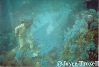 1983 photo 20,000 Leagues Under the Sea