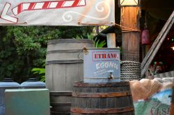 Magic Kingdom Jingle Jungle Cruise
