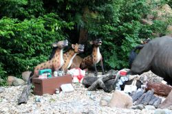 Jingle Cruise