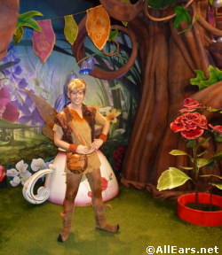 Tinker Bell's Magical Nook