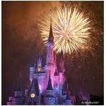 Pirates and Princesses