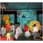 Pirates and Princesses