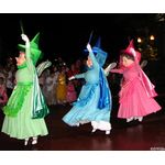 Pirates and Princesses