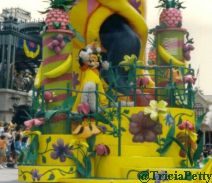 Minnie Waves