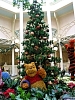 mk_cp11.jpg