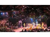 Festival of the Lion King
