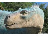 Dinosaur